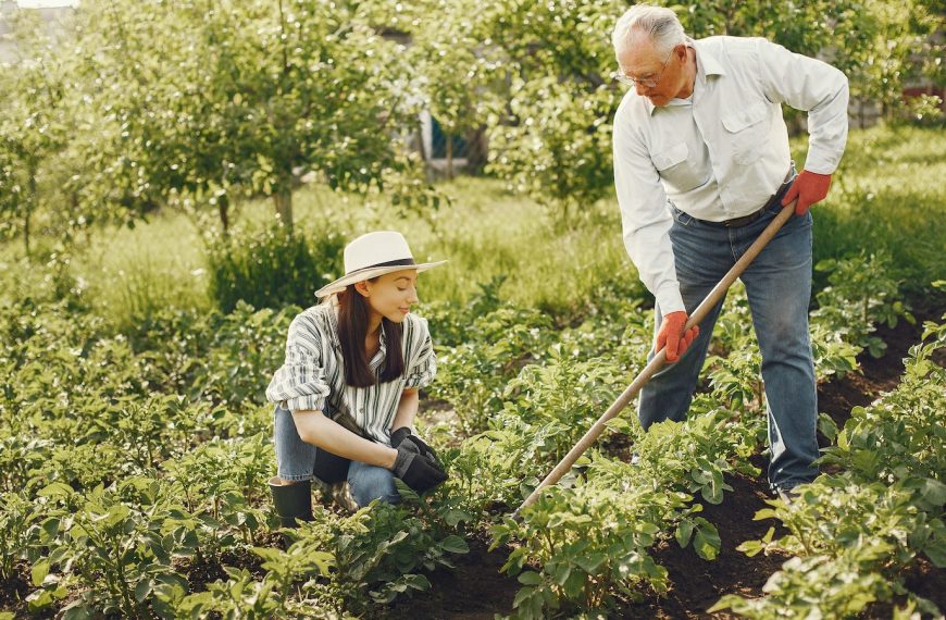 Les bienfaits thérapeutiques du jardinage : Cultivez votre santé mentale et physique